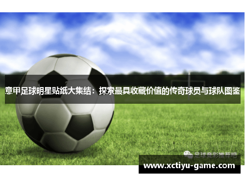 意甲足球明星贴纸大集结：探索最具收藏价值的传奇球员与球队图鉴